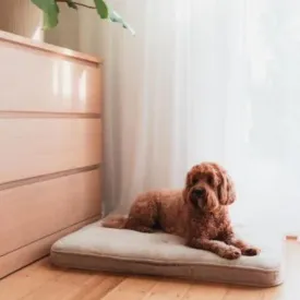 15% OFF: FuzzYard Life Sandstone Lounge Mat