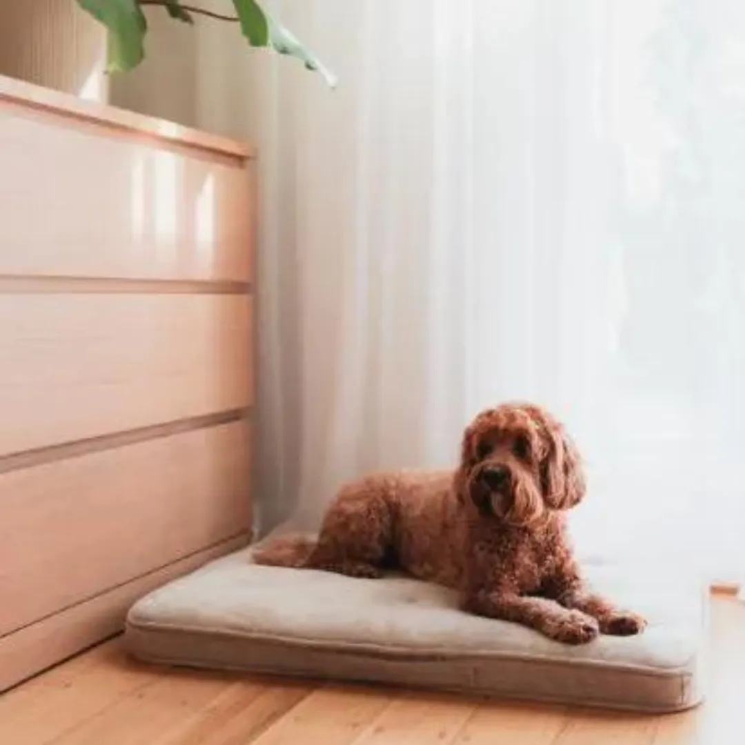 15% OFF: FuzzYard Life Sandstone Lounge Mat