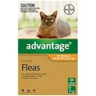 Advantage for Cats