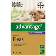 Advantage for Cats