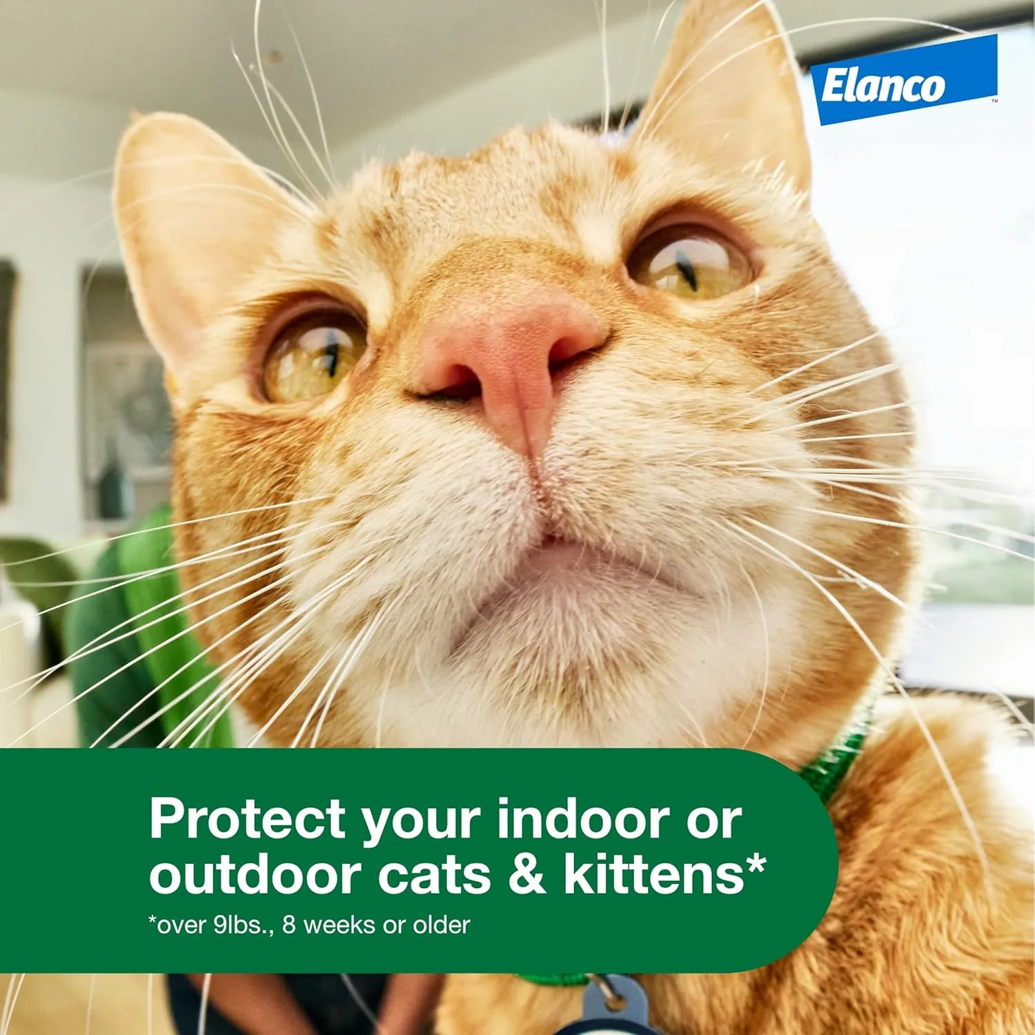 Advantage XD Large Cat Flea Prevention & Treatment For Cats over 9lbs. | 4-Topical Doses, 2-Months of Protection Per Dose