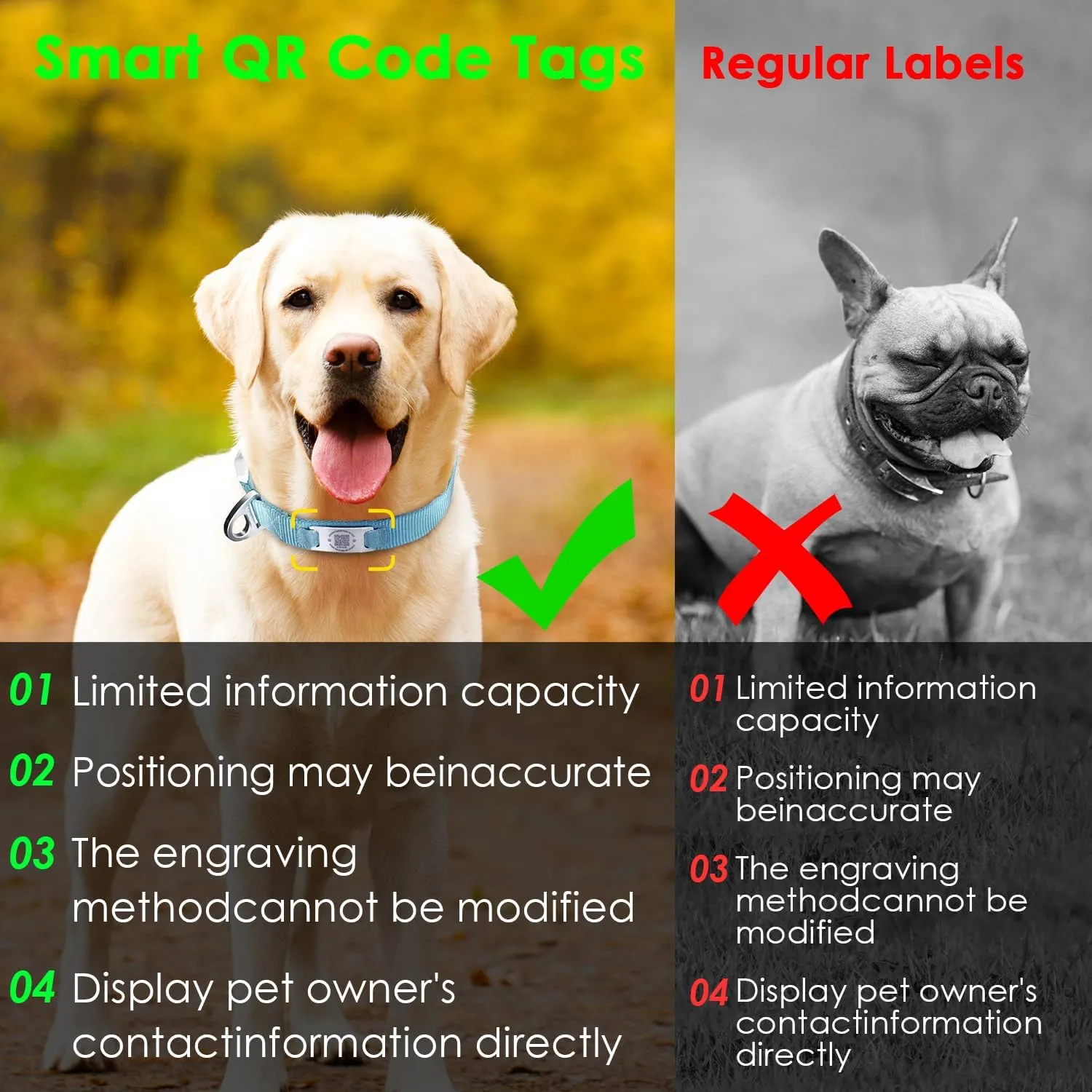 ADVENTUREMORE Smart ID Tag QR Code Nylon Dog Collar - Prevents Small, Medium, Large Dogs from Getting Lost at Night, Displays Owner and Pet Details - Durable, Adjustable, Thick-Teal-Small