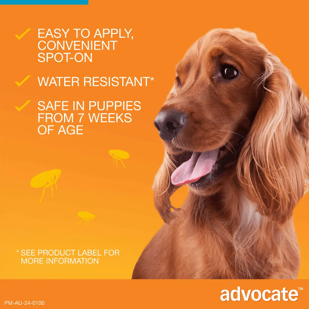 Advocate Fleas, Heartworm & Worms  -  Dogs 4-10kg  -  3 pack