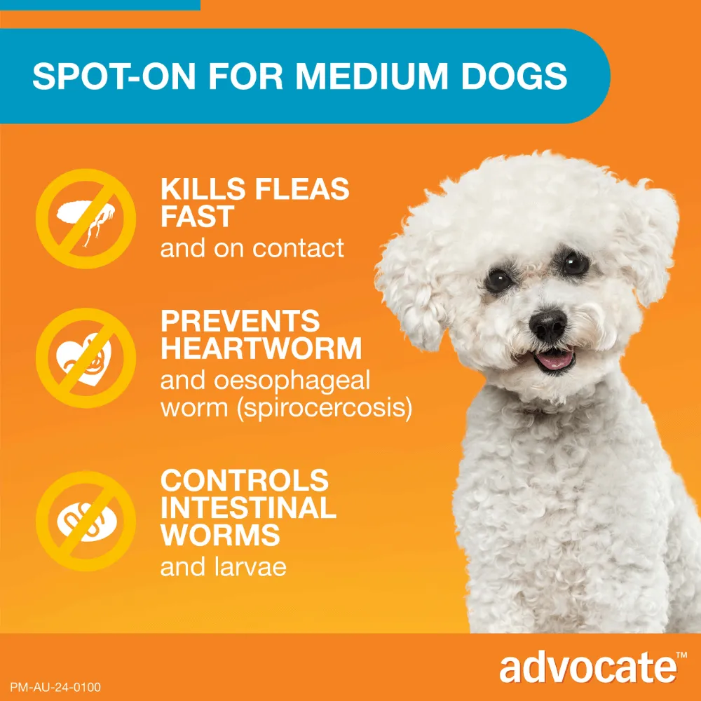 Advocate Fleas, Heartworm & Worms  -  Dogs 4-10kg  -  3 pack
