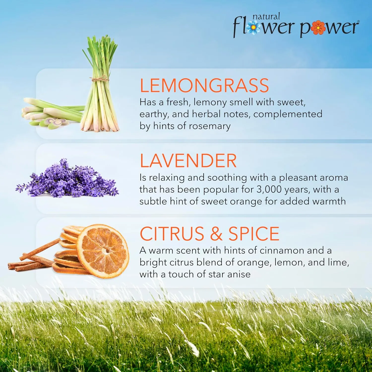 Air Freshener Spray - Odor Eliminator with Essential Oils for Home, Car & Fabric - Cruelty Free & Vegan - Variety Pack - Citrus & Spice   Lavender   Lemongrass - 3 x 4 fl oz