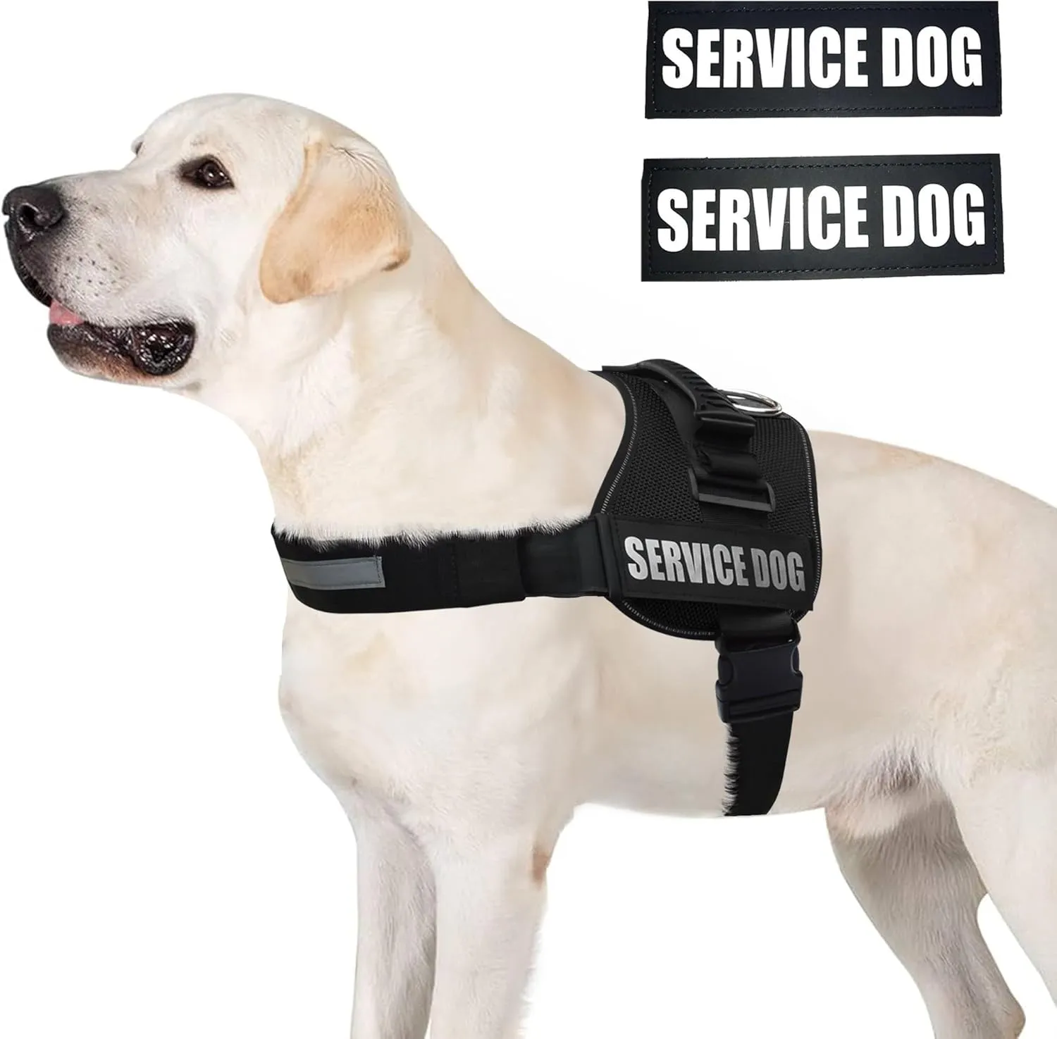 ALBCORP Reflective Service Dog Vest Harness  No-Pull Harness with Handle & Comfy Mesh Padding  Available in Sizes XXS-XL with 2 Removable Hook & Loop Service Dog Patches, Extra Large, Black
