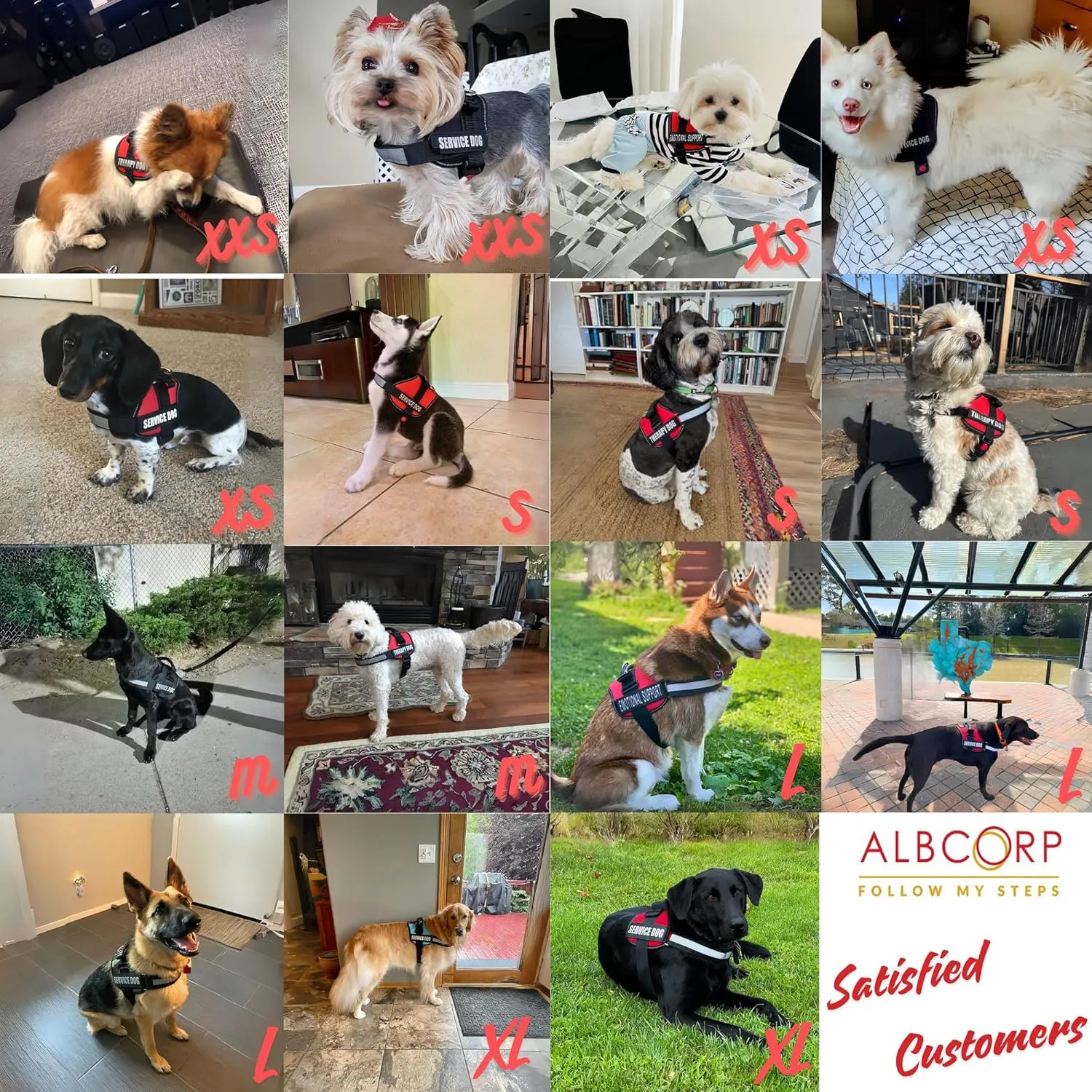 ALBCORP Reflective Service Dog Vest Harness  No-Pull Harness with Handle & Comfy Mesh Padding  Available in Sizes XXS-XL with 2 Removable Hook & Loop Service Dog Patches, Extra Large, Black