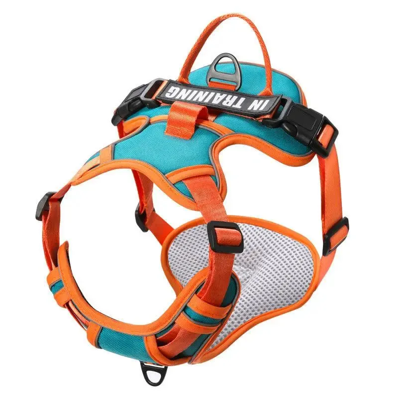 Best Dog Harness and Lead