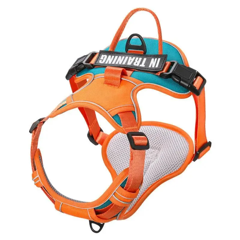 Best Dog Harness and Lead