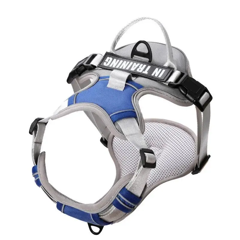 Best Dog Harness and Lead