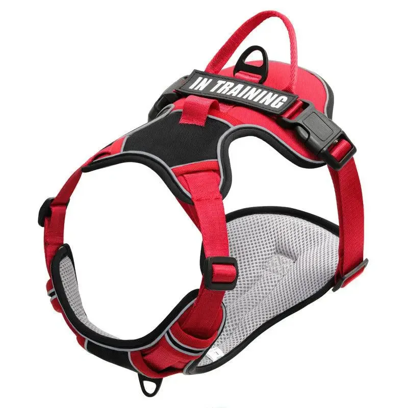Best Dog Harness and Lead