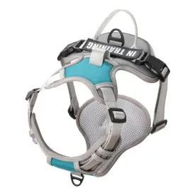 Best Dog Harness and Lead