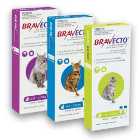 Bravecto for Cats