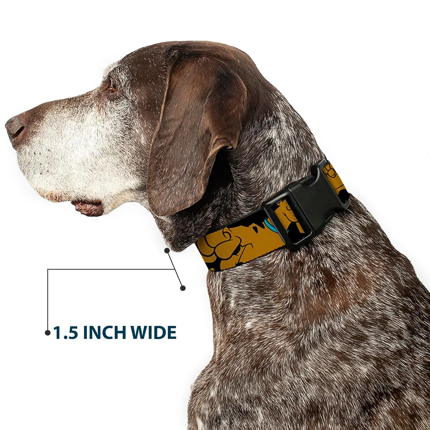 Buckle-Down "Scooby Doo Stacked " Plastic Clip Collar, Black, 1.5" Wide-Fits 16-23" Neck-Medium