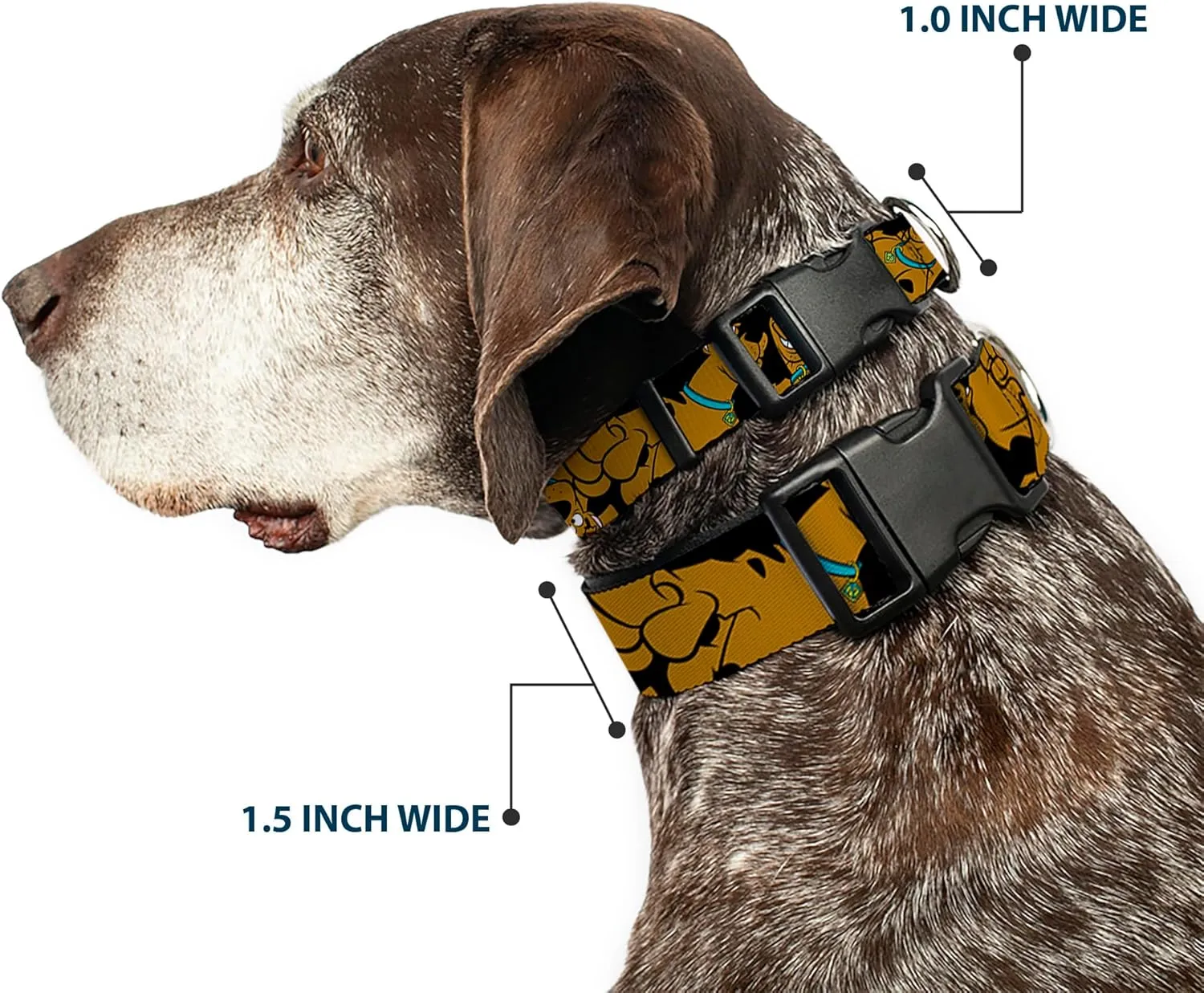 Buckle-Down "Scooby Doo Stacked " Plastic Clip Collar, Black, 1.5" Wide-Fits 16-23" Neck-Medium