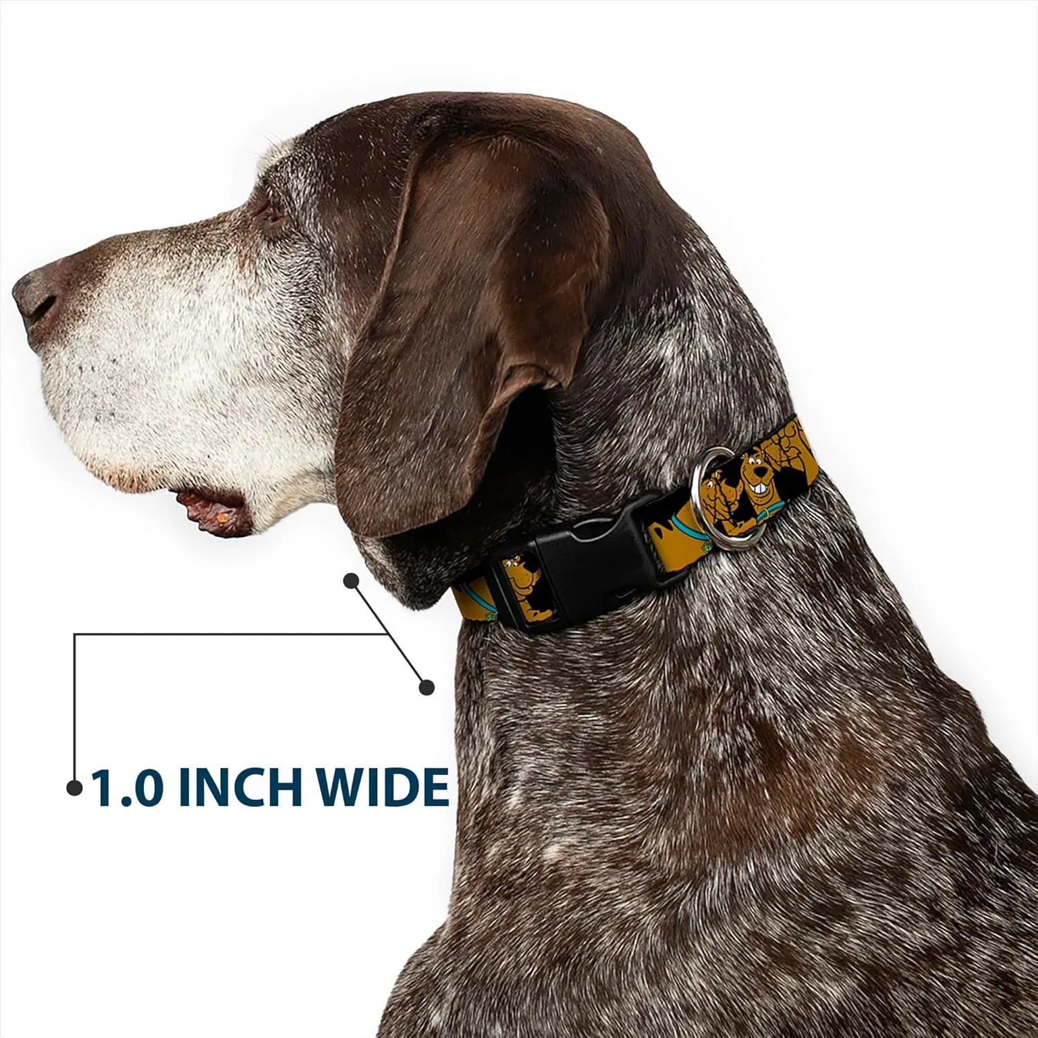 Buckle-Down "Scooby Doo Stacked " Plastic Clip Collar, Black, 1.5" Wide-Fits 16-23" Neck-Medium