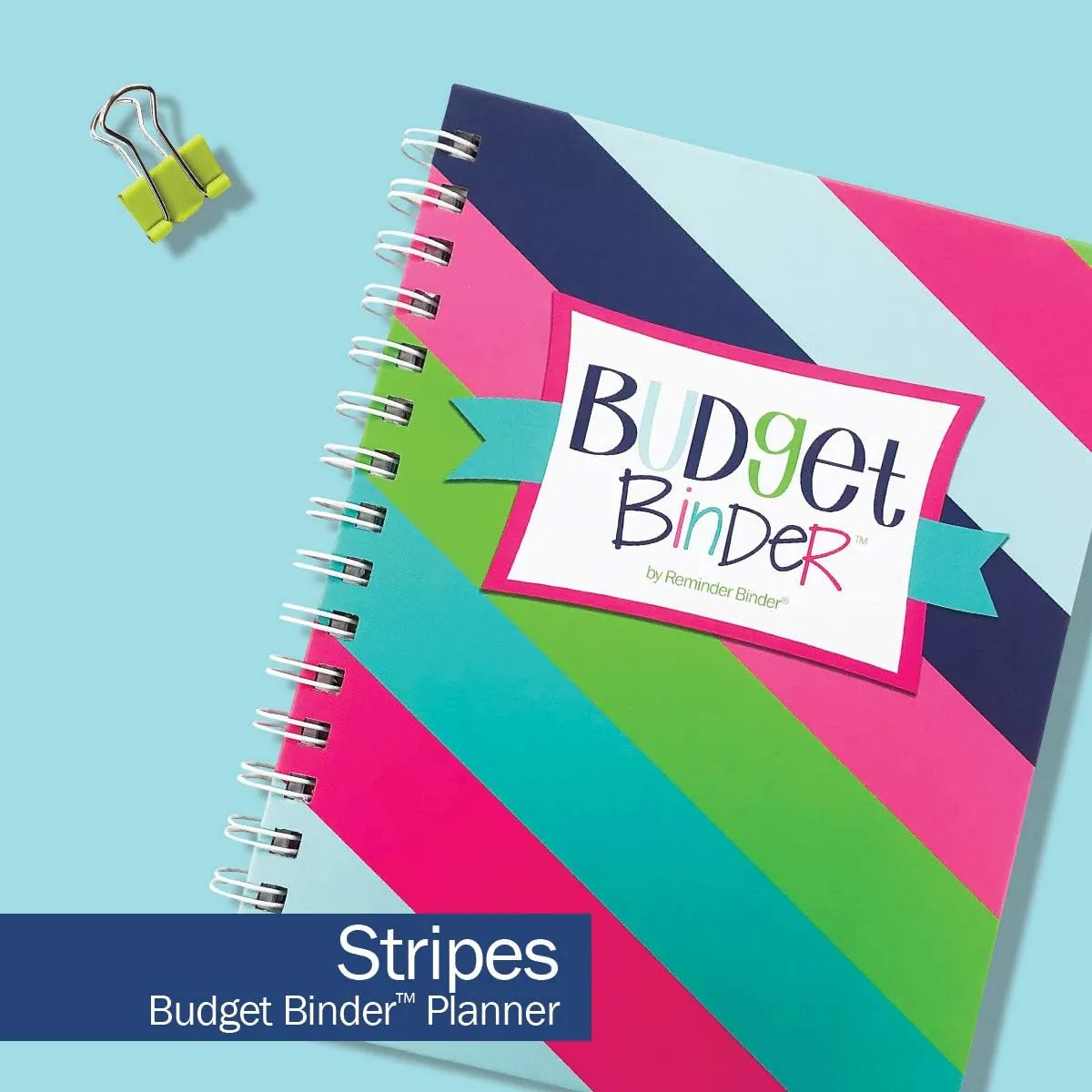 Budget Binder 12-Month Budget Planner   Sticker Set | Undated Monthly Bill Organizer | Personal Finance Management | Debt, Savings & Expense Tracker