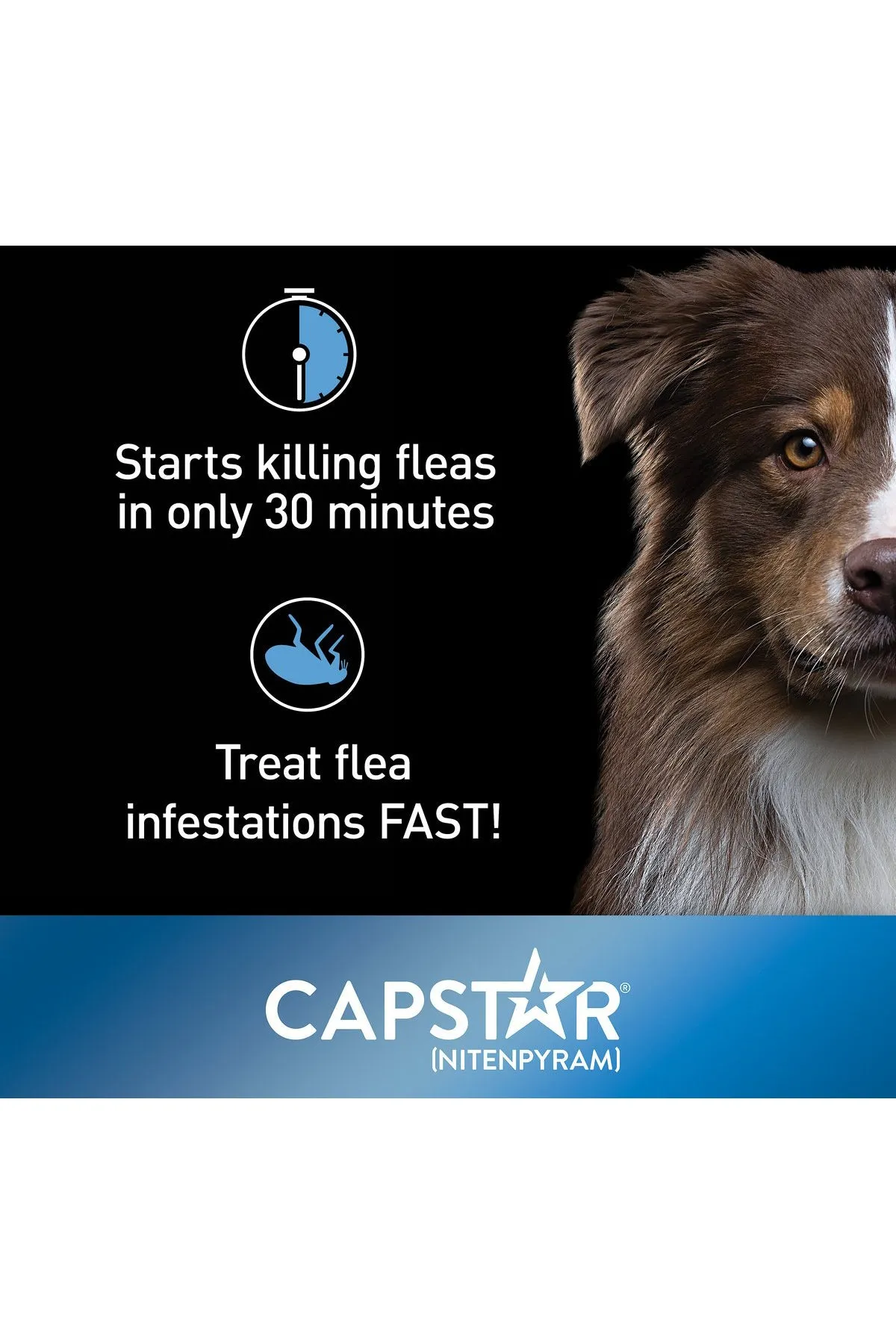Capstar Flea Tablets for Dogs
