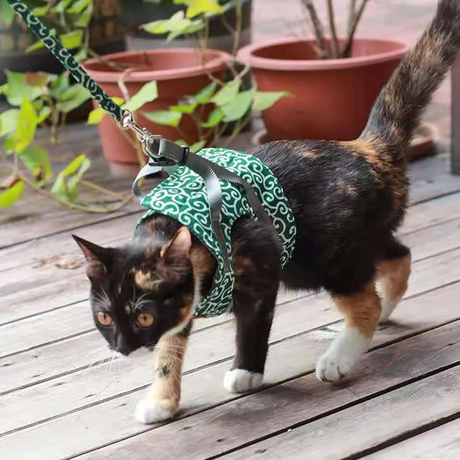 Cat Dog Vest Harness and Leash Anti-Break Away Chest Strap Cat Clothes, Comfortable Soft, Easy to Wear, Adjustable Size, for Kittens, Small Dogs (Red,XL)