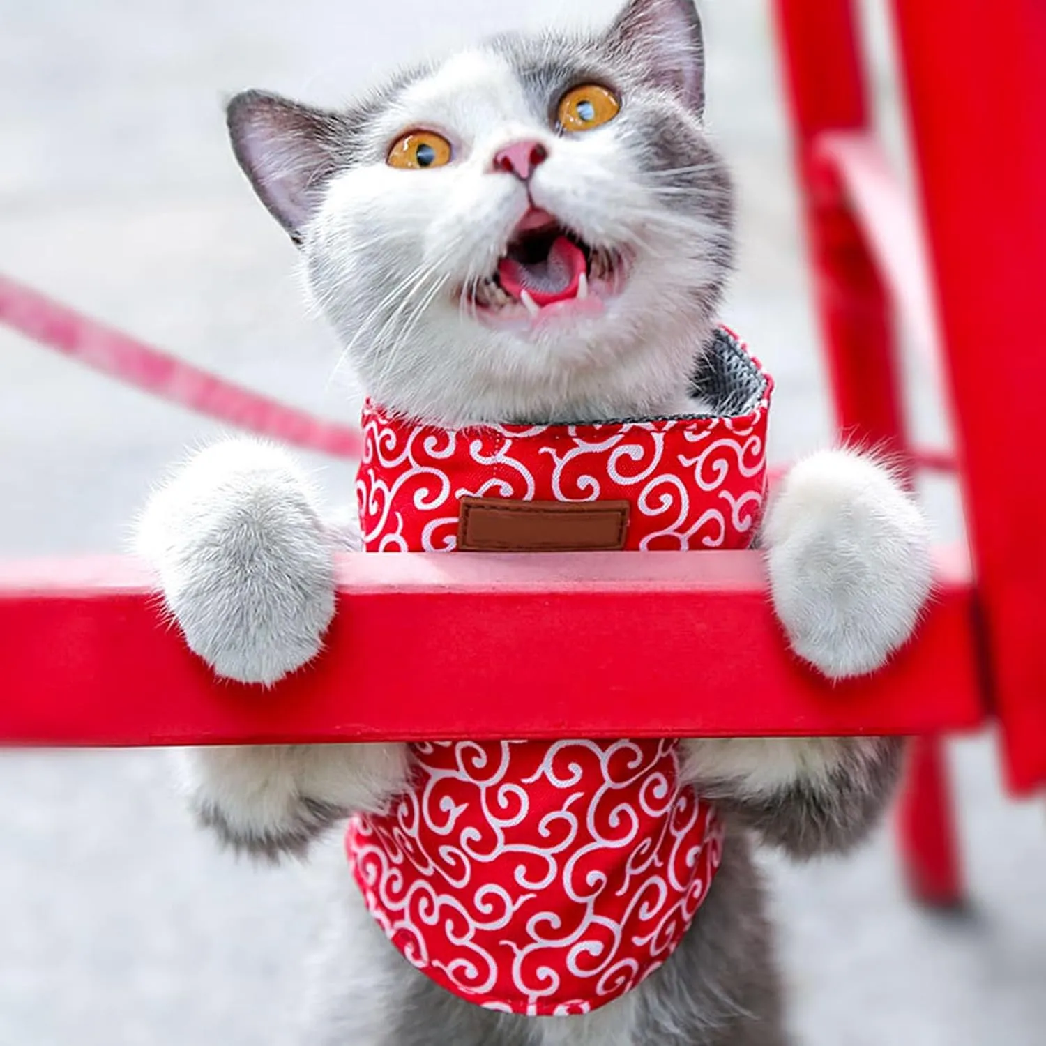 Cat Dog Vest Harness and Leash Anti-Break Away Chest Strap Cat Clothes, Comfortable Soft, Easy to Wear, Adjustable Size, for Kittens, Small Dogs (Red,XL)