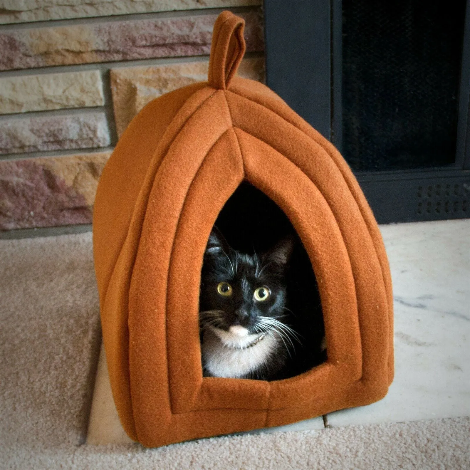 Cat Pet Cave Enclosed Covered Tent House