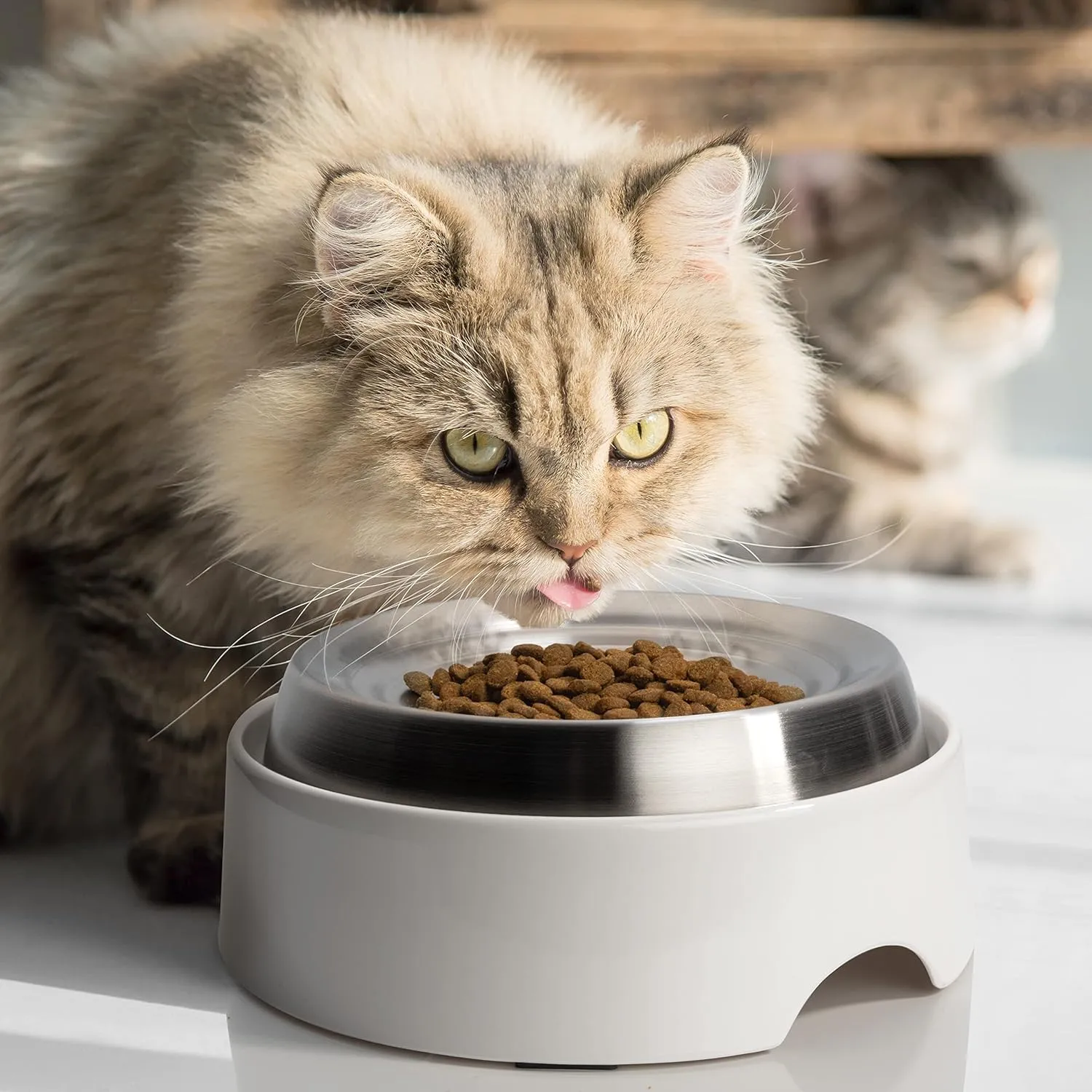 CatGuru Cat Bowls, Whisker Friendly Cat Food Bowl for Indoor Cats, Reliefs Whisker Fatigue, Wide Pet Bowl, Non Slip Pet Feeding Bowls, Shallow Kitten Dish (Set of 2, Stainless Steel)