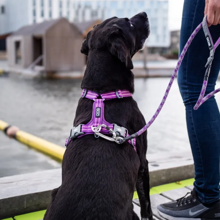 Copenhagen Urban Rope Dog Leash