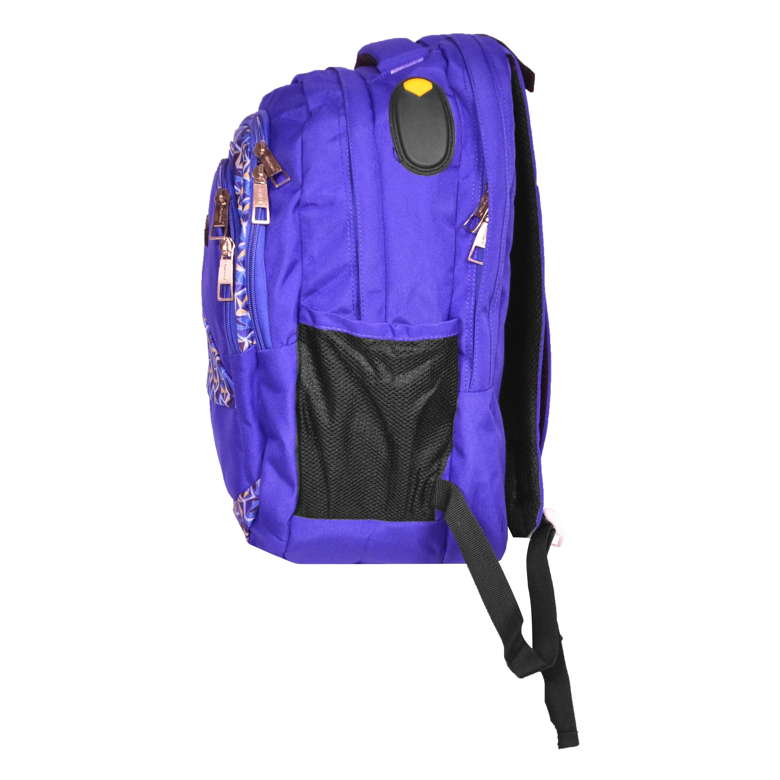 Dhariwal Multi Color Dual Compartment Unisex Printed School BackPack 39L BP-203