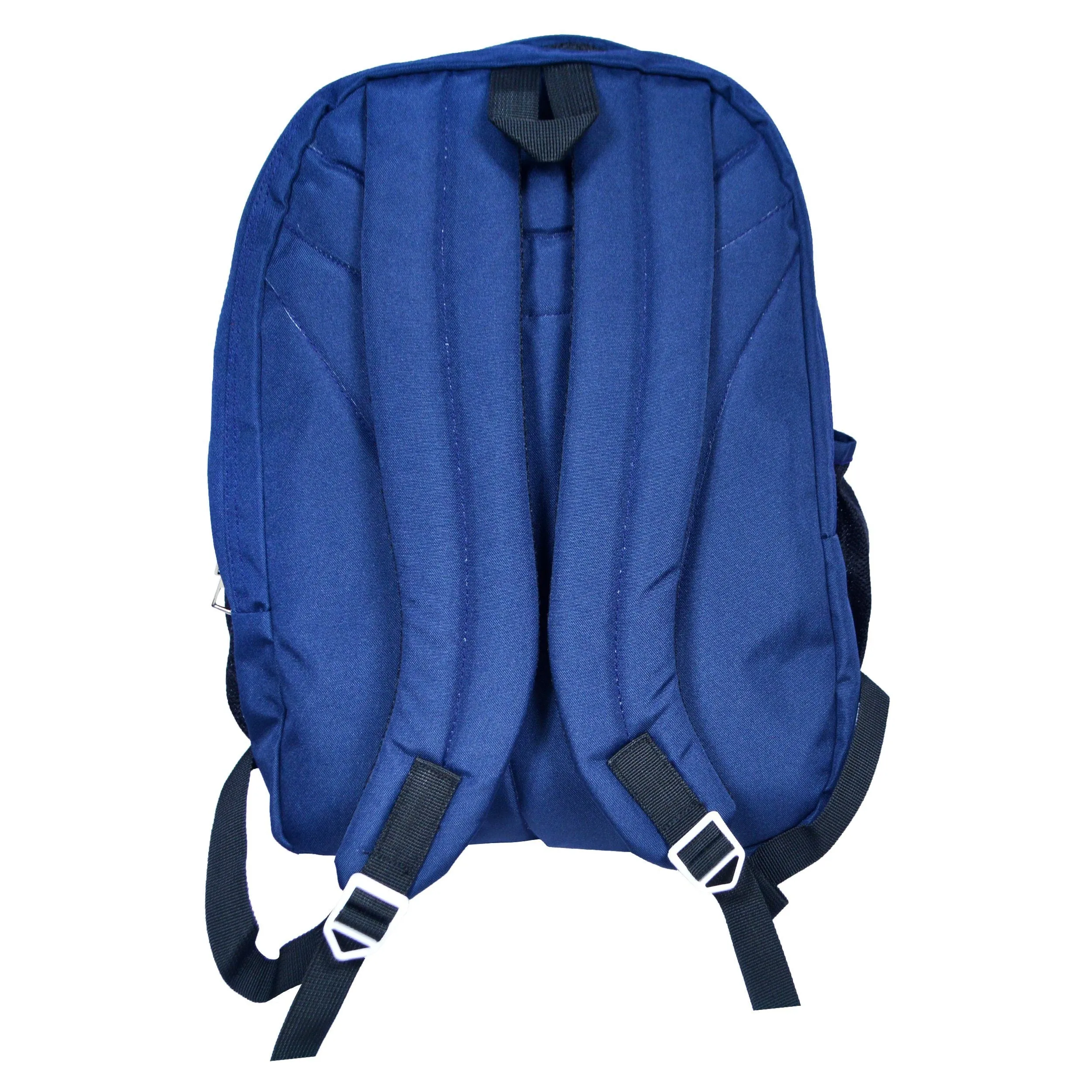 Dhariwal Multi Color Dual Compartment Unisex Printed School BackPack 39L BP-203