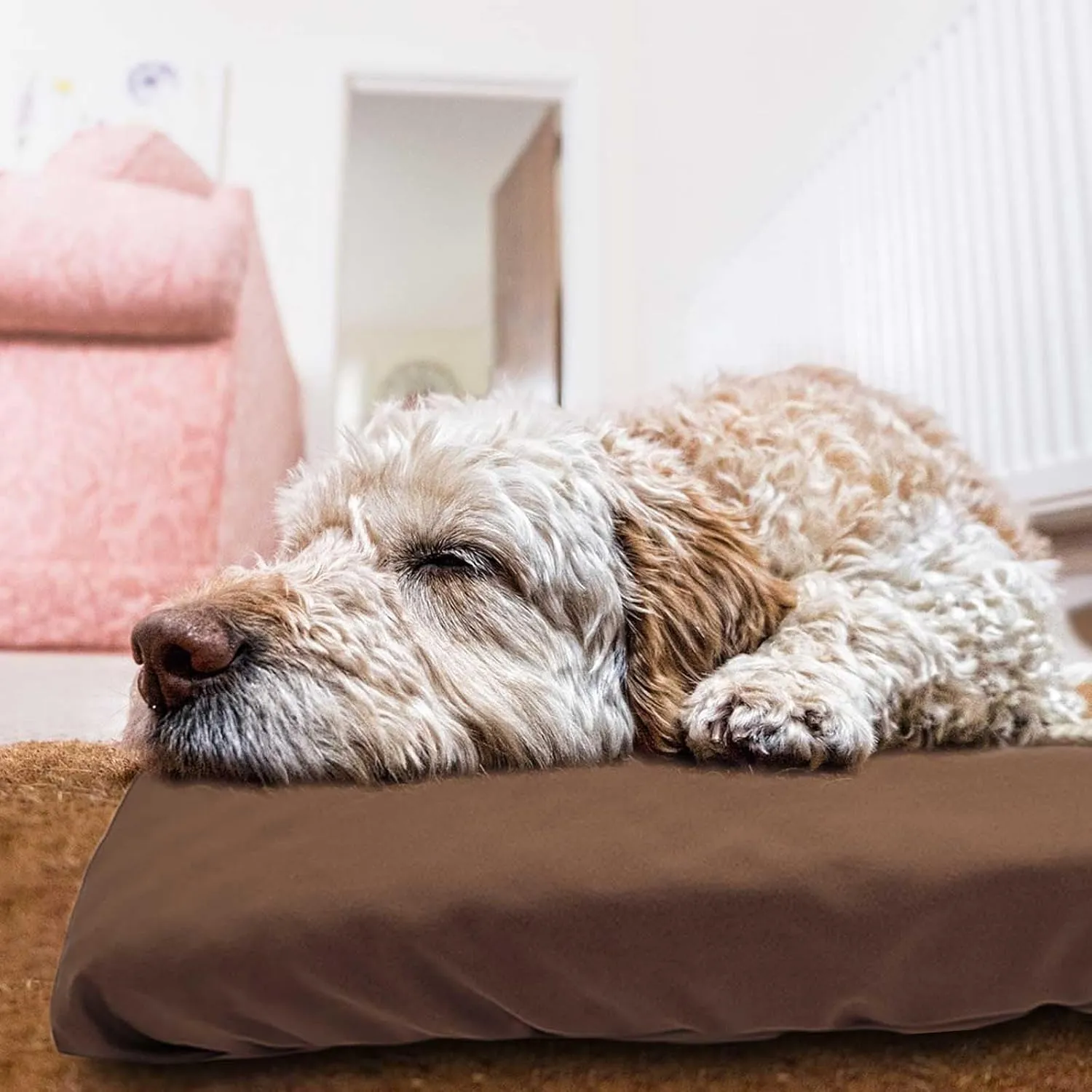 Dog Bed Cover Waterproof Replacement Machine Washable Covers for 36x27 Inch Dog Bed Heavy Duty Scratch Resistant Mattress Protector Pet Bed Cover Only Brown