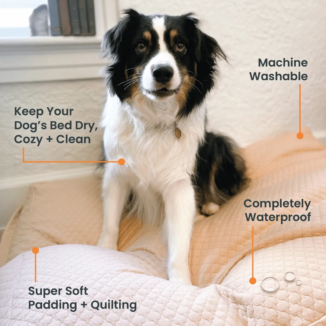Dog Bed Slip Cover