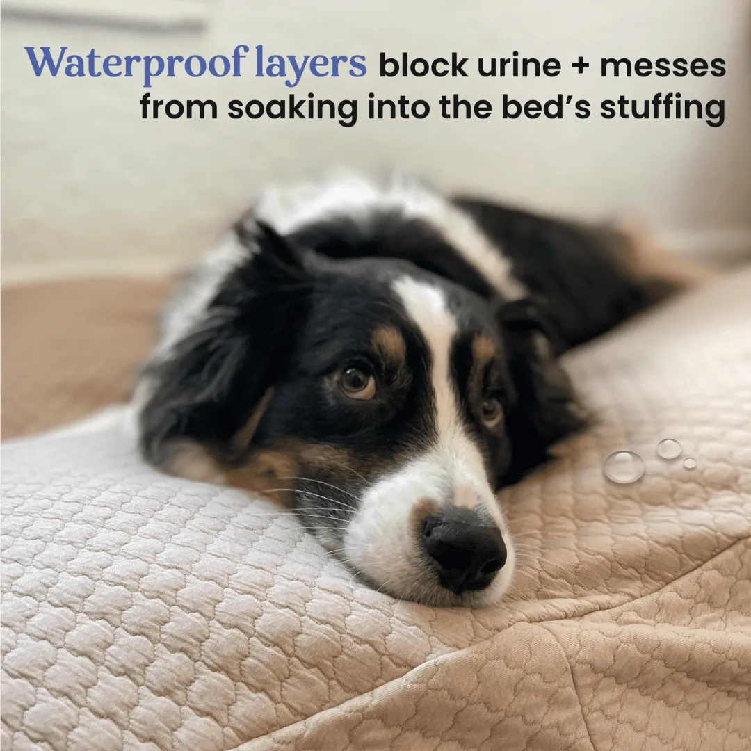 Dog Bed Slip Cover