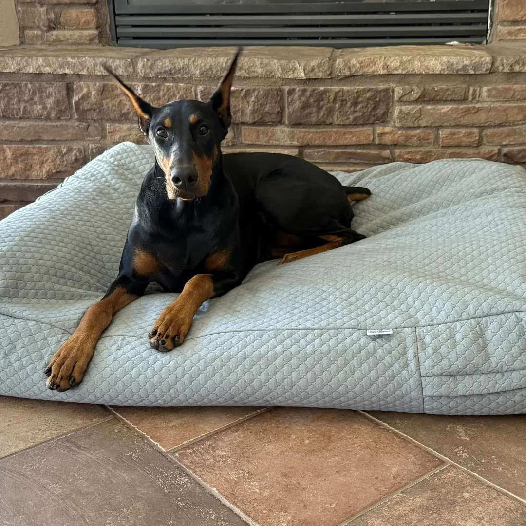 Dog Bed Slip Cover