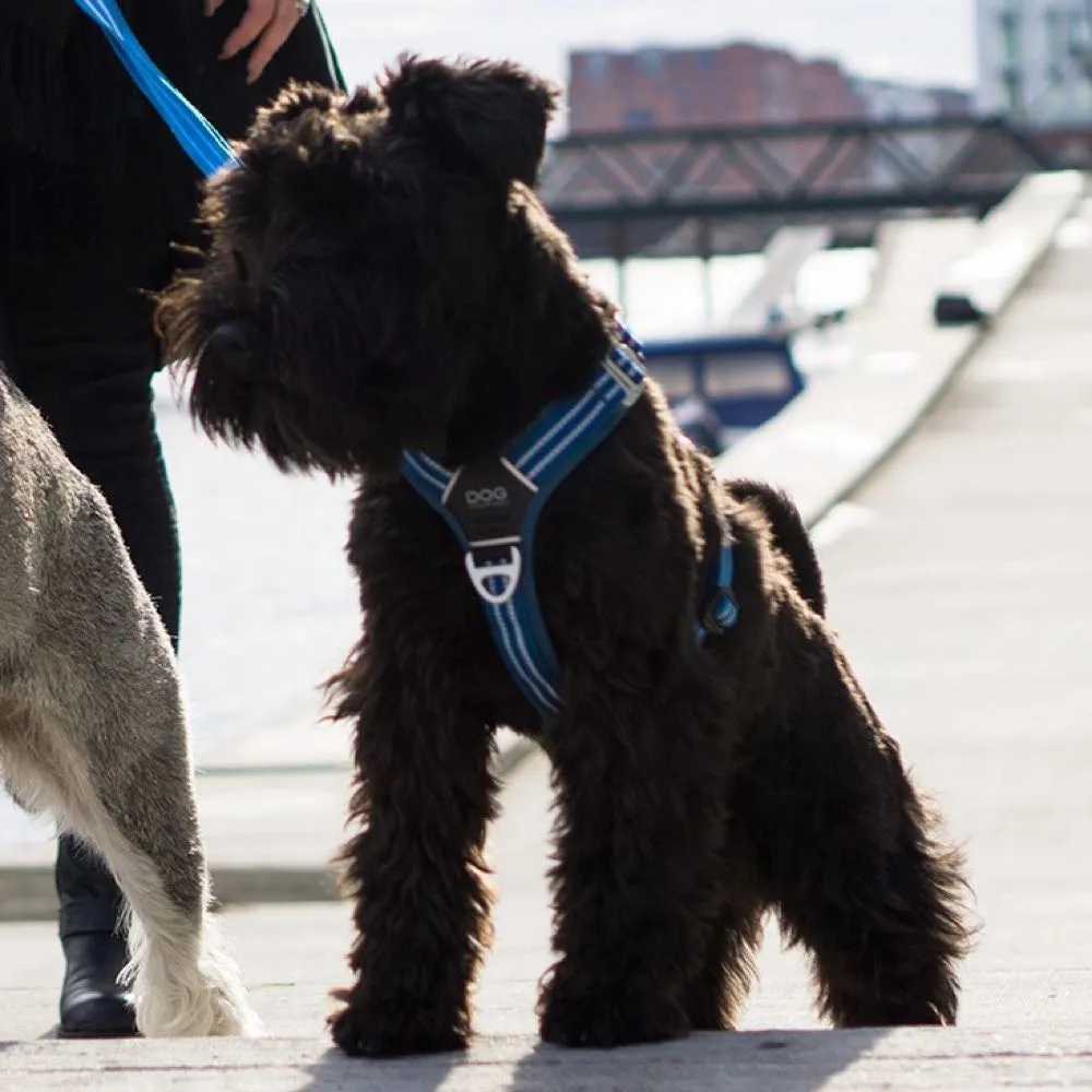 DOG Copenhagen Comfort Walk Air Dog Harness (Ocean Blue)