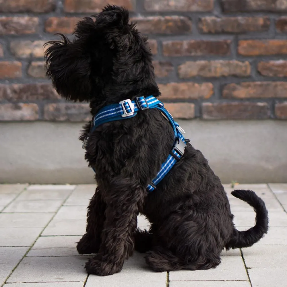 DOG Copenhagen Comfort Walk Air Dog Harness (Ocean Blue)