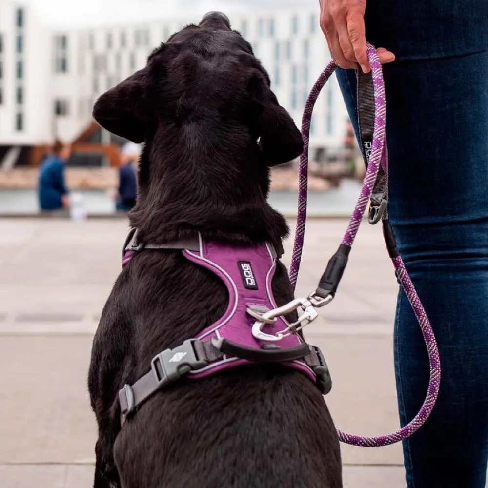 DOG Copenhagen Comfort Walk Pro Dog Harness (Black)