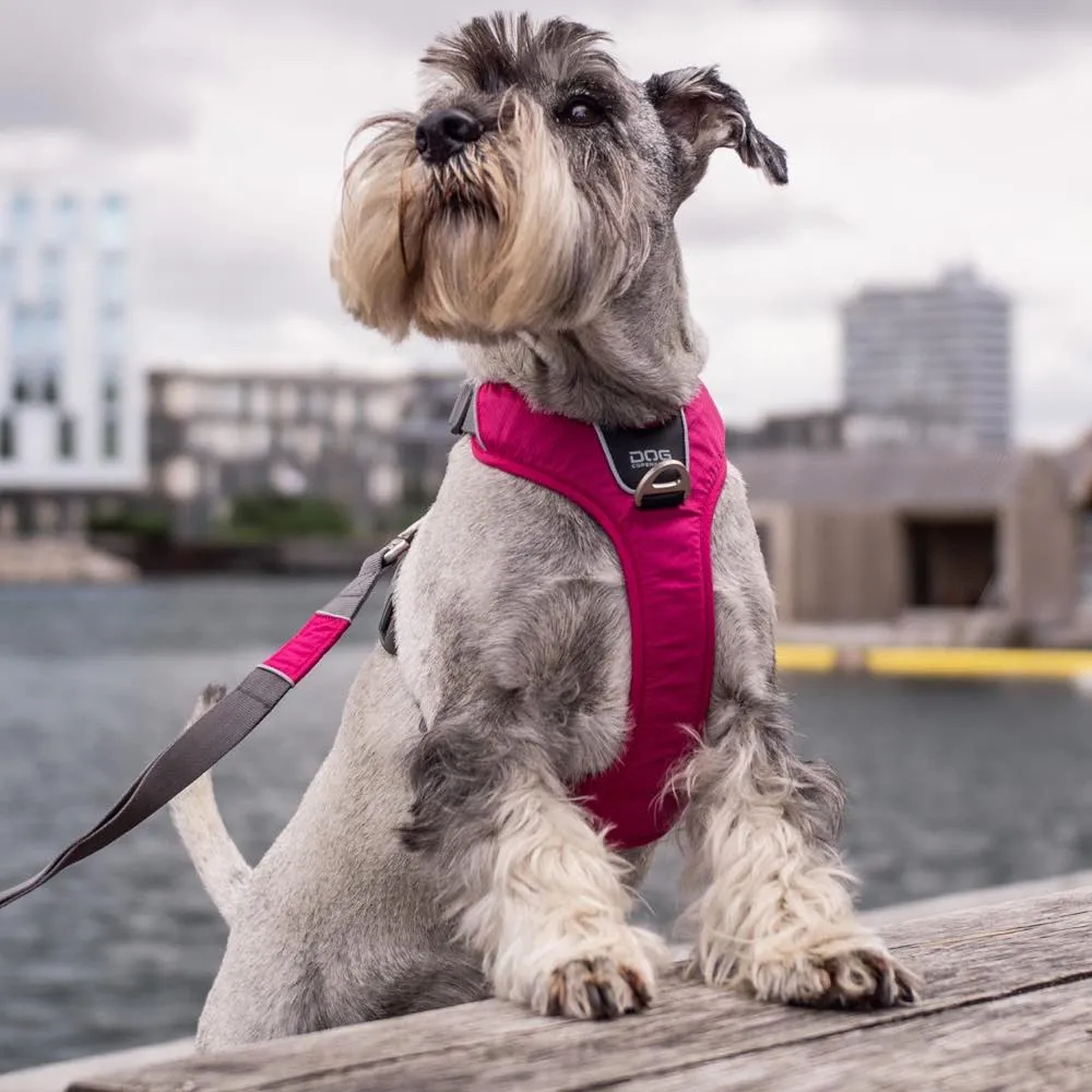 DOG Copenhagen Comfort Walk Pro Dog Harness (Black)