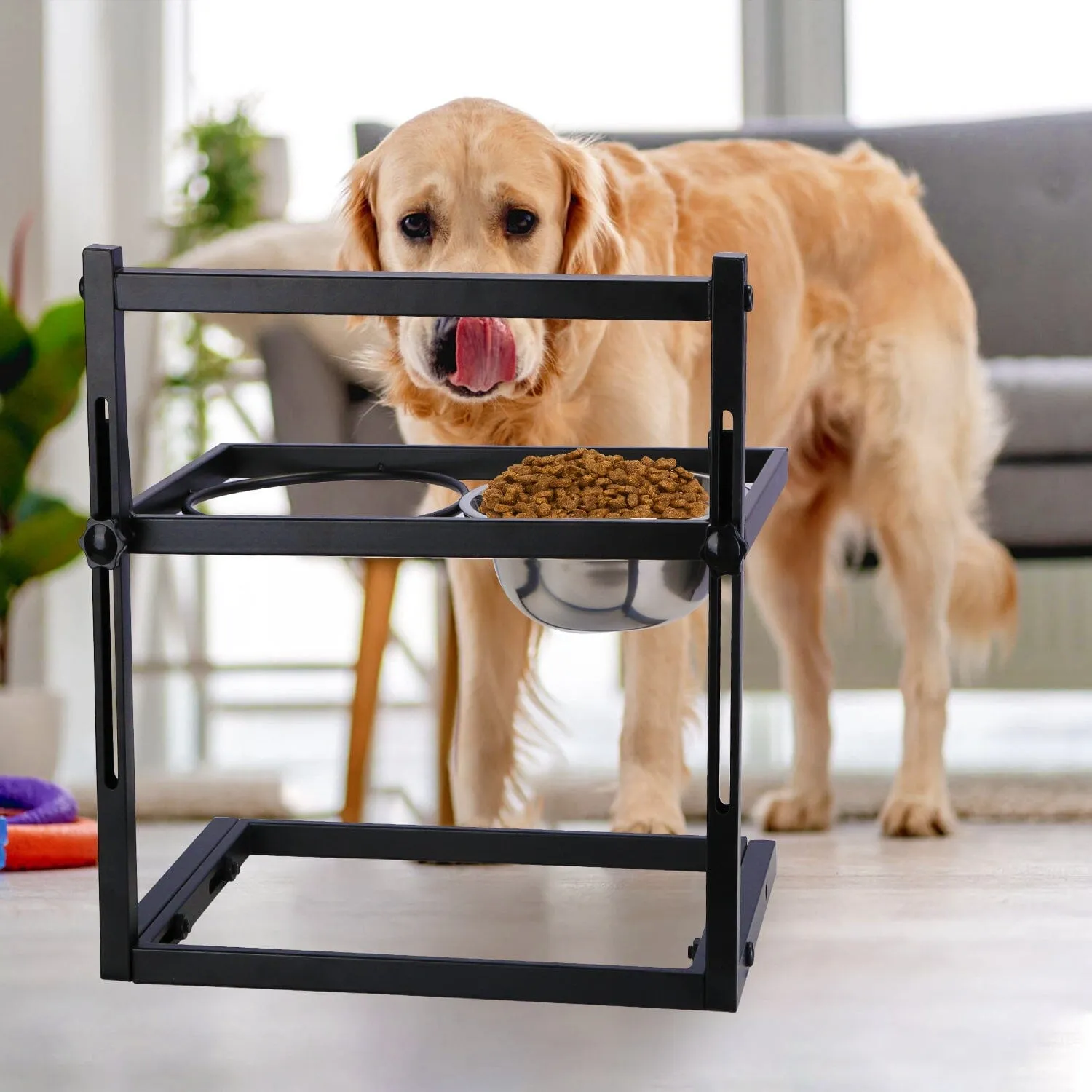 Dog Raised Bowls with Adjustable Height Stainless Steel