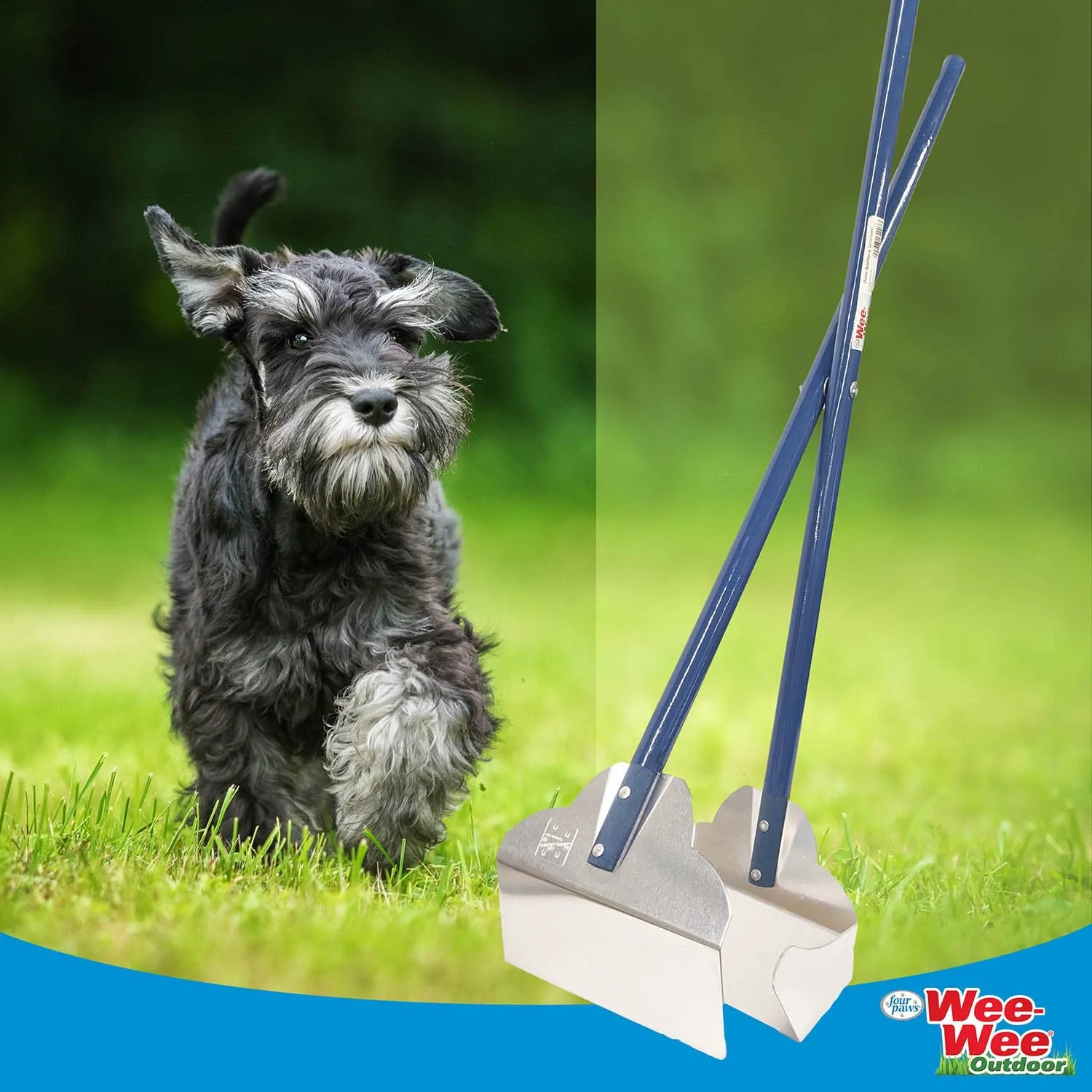 Dog Rake Sanitary Pooper Scooper