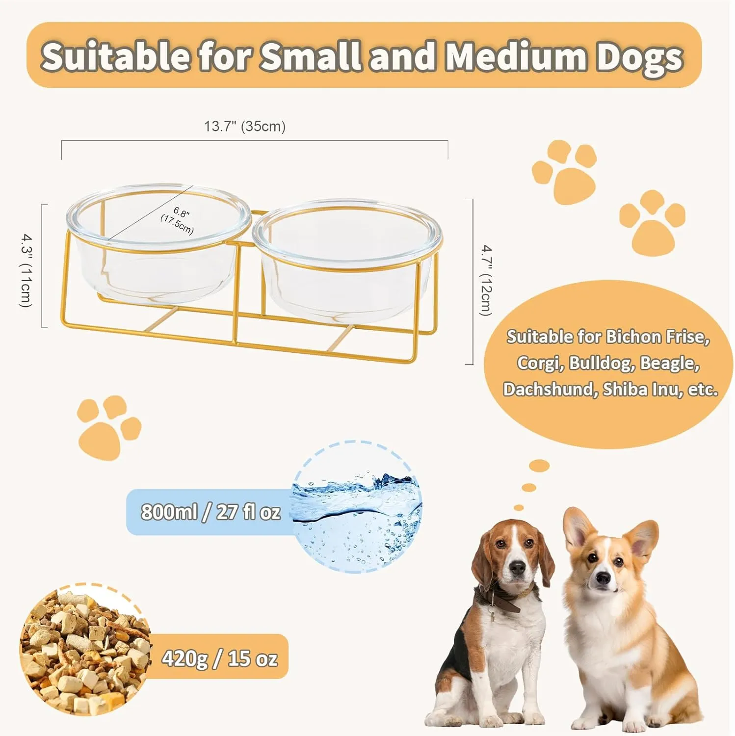 Elevated Dog Bowl Set of 2 - Double Glass Bowls with Gold Iron Stand - Raised Dishes Comfortable Feeding - Ideal for Small to Medium Sized Dogs