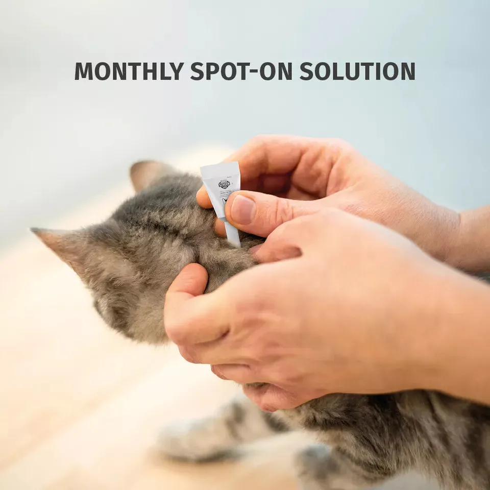 Flea & Tick Spot on Solution for Cats