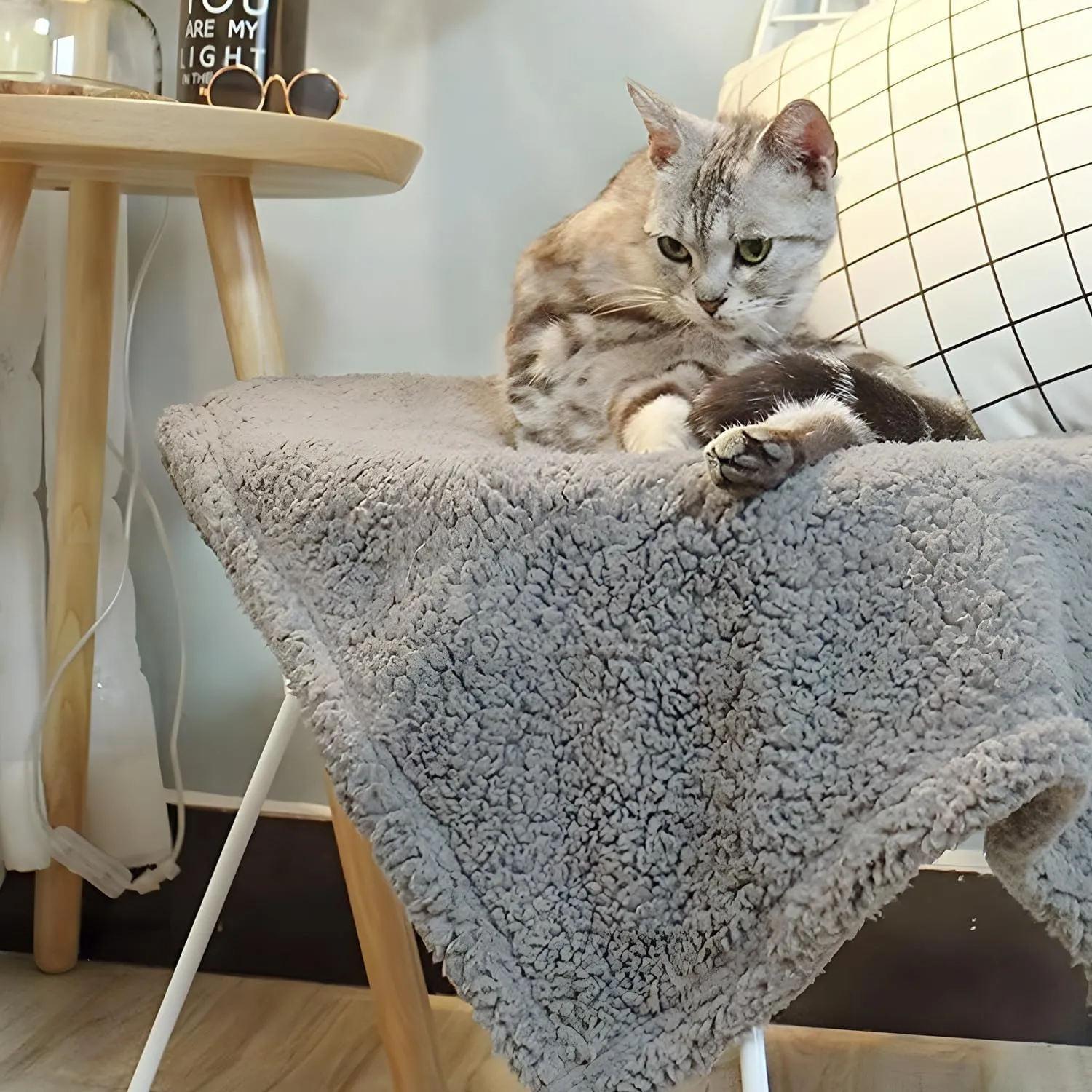 FurryBaby 1 Pack 2 Pet Blankets for Small Dogs and Cats - Super Soft Premium Sherpa, Washable Fleece Dog and Cat Blankets (24"x32", Grey)