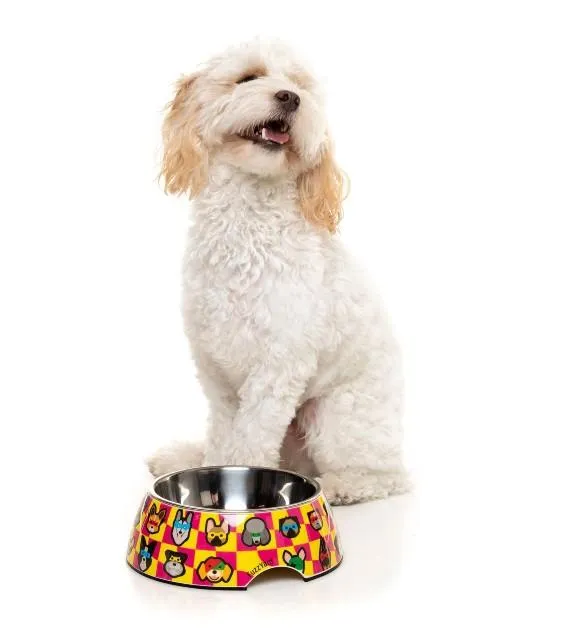 FuzzYard Doggoforce Dog Feeding Bowl