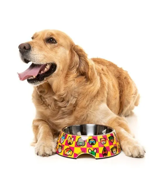 FuzzYard Doggoforce Dog Feeding Bowl
