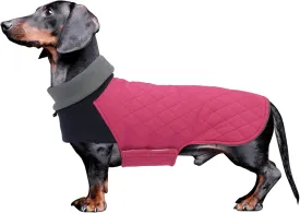 Geyecete Dachshund Coat,Dachshund Winter Coat,Warm Waterproof Windproof, High Neckine String Holes Miniature Dachshund Jacket for Small Dog-Pink-M