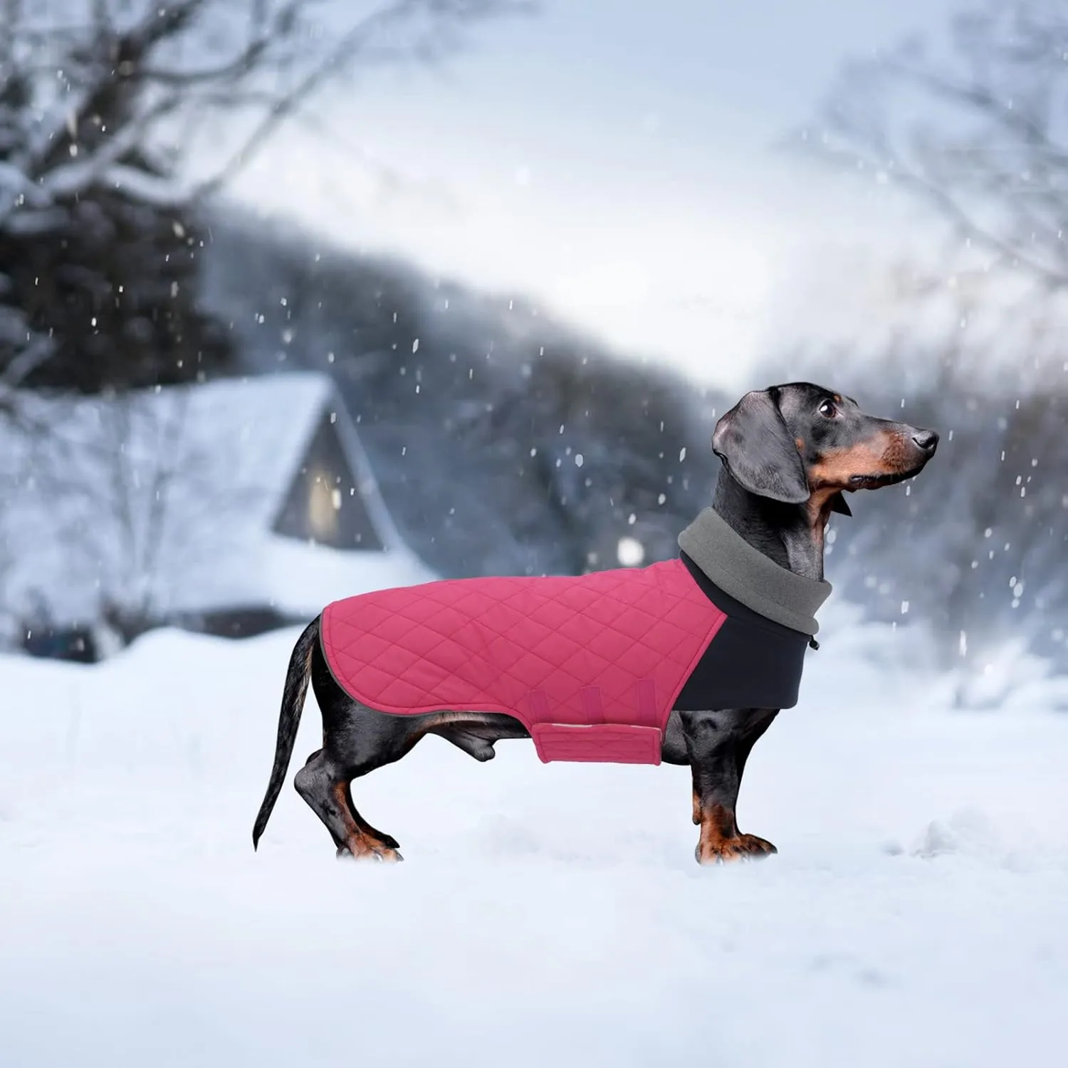 Geyecete Dachshund Coat,Dachshund Winter Coat,Warm Waterproof Windproof, High Neckine String Holes Miniature Dachshund Jacket for Small Dog-Pink-M