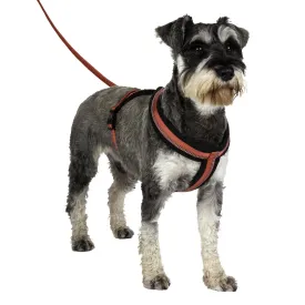 Halti Comfy Dog Harness