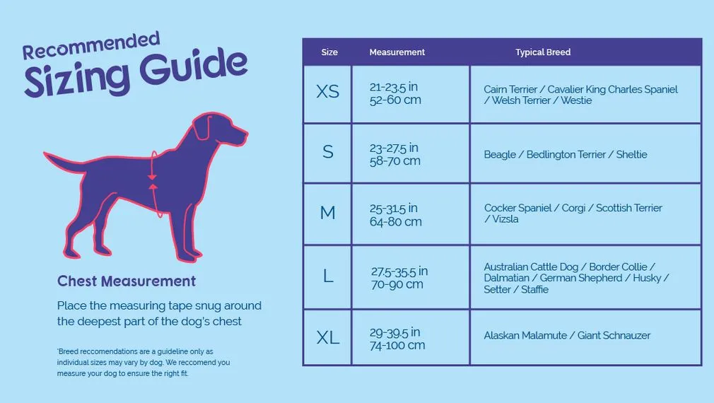 Halti Comfy Dog Harness