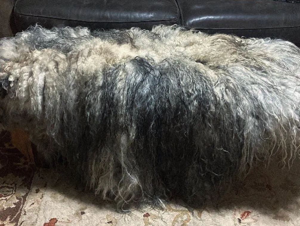 Icelandic Wool Felted Pelt (Custom-Made to Order)