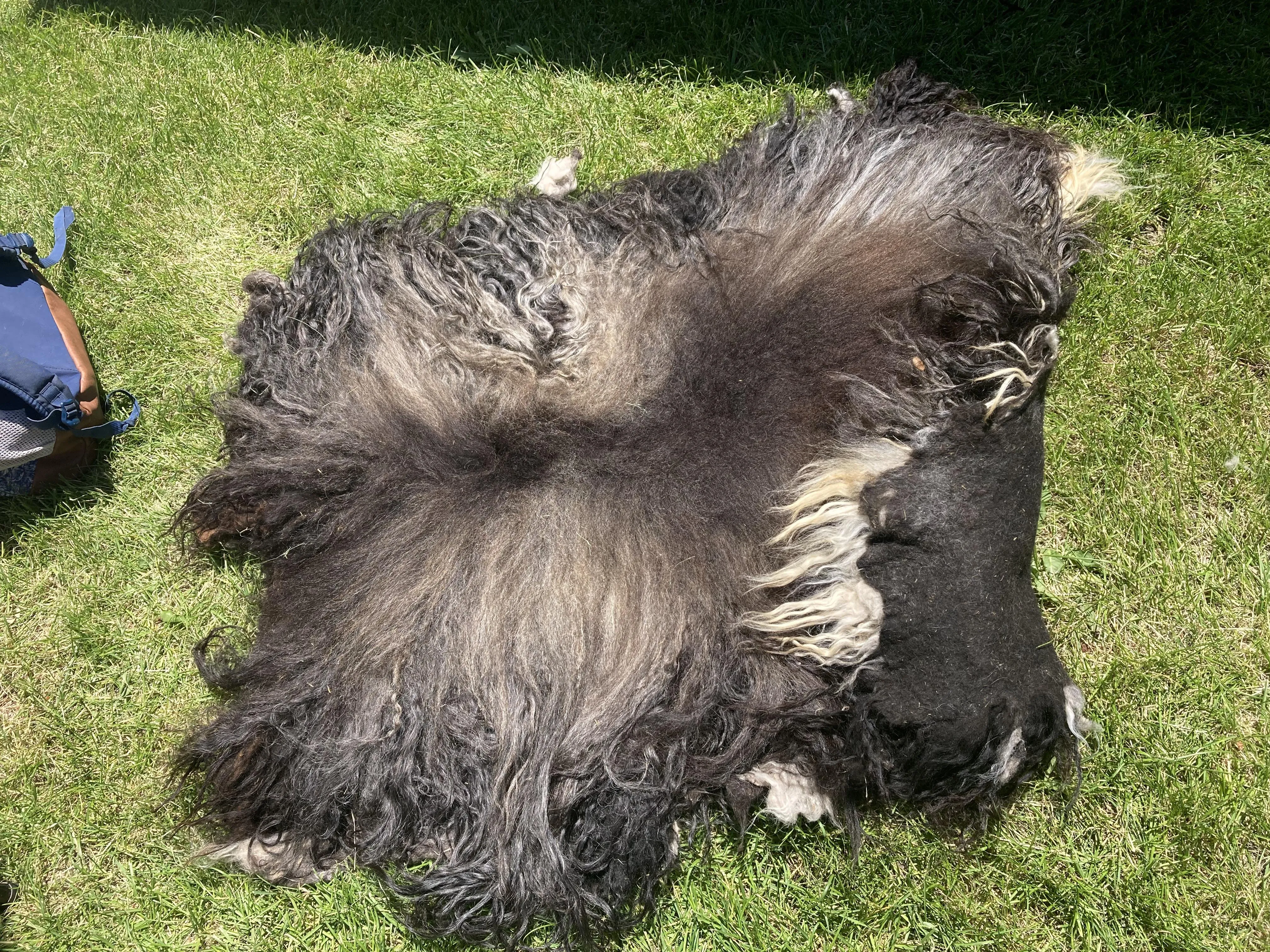 Icelandic Wool Felted Pelt (Custom-Made to Order)